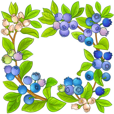blueberry vector frame on white backgroundのイラスト素材