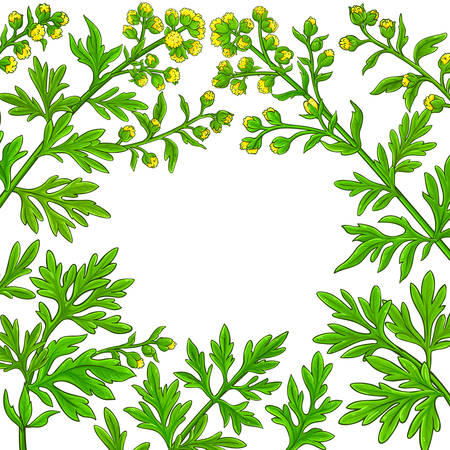 wormwood vector frame on white backgroundのイラスト素材