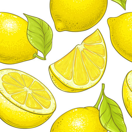 lemon fruit vector pattern on white backgroundのイラスト素材