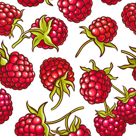 raspberry berries vector pattern on white backgroundのイラスト素材