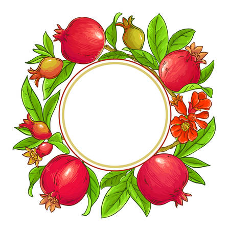 pomegranate vector frame on white backgroundのイラスト素材