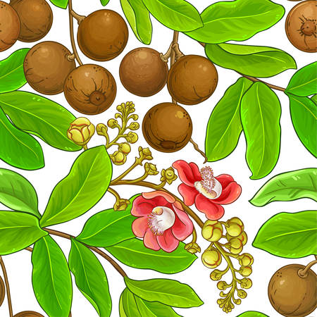 brazil nut patternのイラスト素材