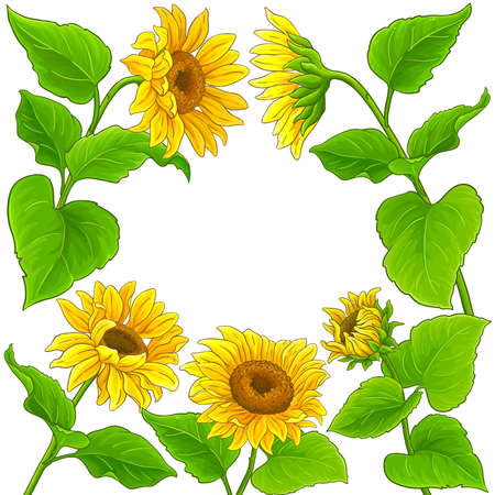 sunflower vector frameのイラスト素材