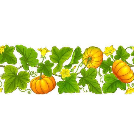 pumpkin vector patternのイラスト素材