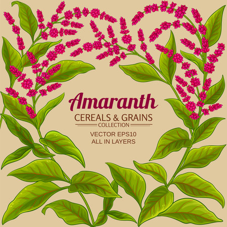 amaranth vector frameのイラスト素材