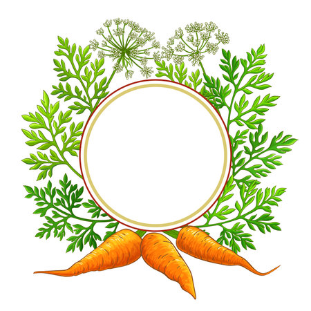carrot frame on white backgroundのイラスト素材