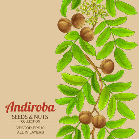 andiroba vector pattern on color backgroundのイラスト素材