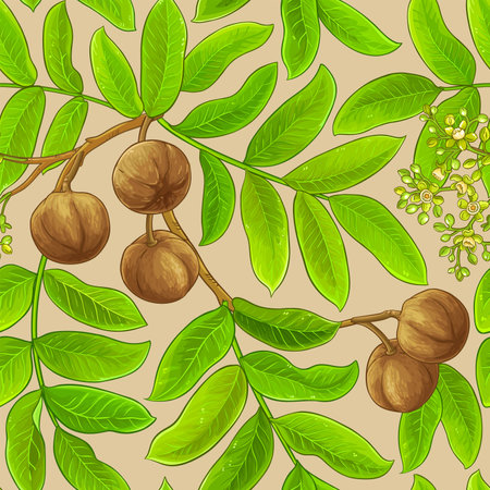 andiroba vector pattern on color backgroundのイラスト素材