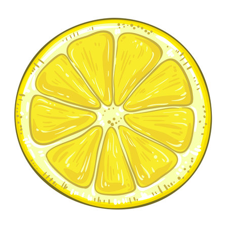 Lemon Fruit Colored Detailed Illustrationのイラスト素材
