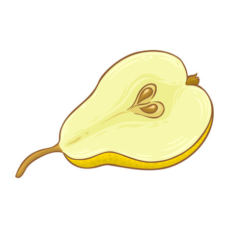Pear Fruit Colored Detailed Illustration. Organic natural nutritional healthy food ingredient, vegetarian diet product. Vector isolated for design or decoration.のイラスト素材