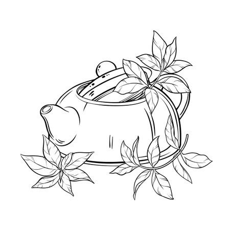 Teapot and Tea Leaves Outline Illustrationのイラスト素材