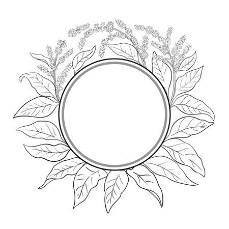 Amaranth Branch Outline Round Frame.のイラスト素材