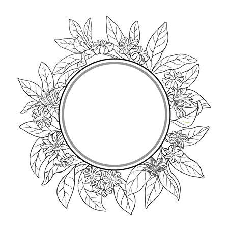 Anise Branch Outline Round Frame.のイラスト素材