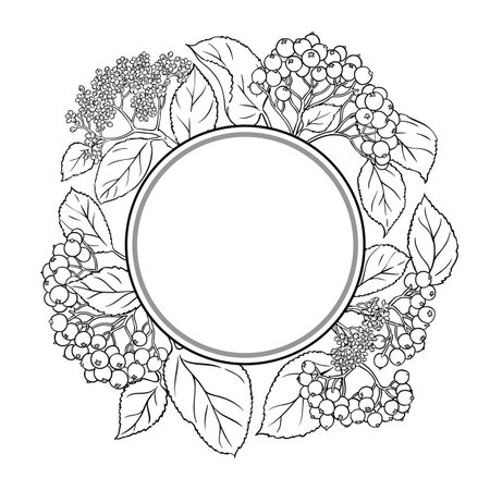 Black Rowan Outline Round Frame.のイラスト素材