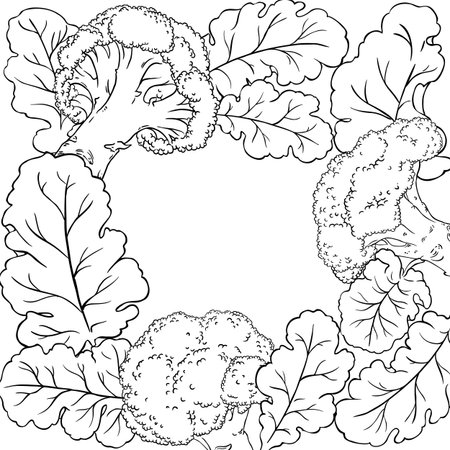 Broccoli Vegetable with Leaves Outline Frame.のイラスト素材