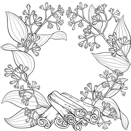 Cinnamon Branch with Flowers Outline Frame.のイラスト素材