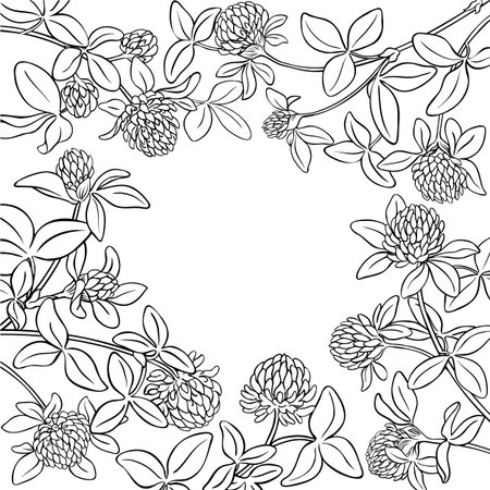 Clover Branch with Flowers Outline Frame.のイラスト素材