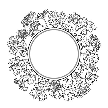 Coriander Branch Outline Round Frame.のイラスト素材