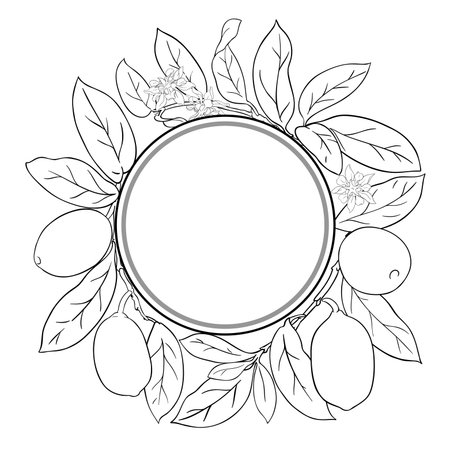 Cupuacu Branch Outline Round Frame.のイラスト素材