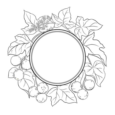 Kukui Branch Outline Round Frame.のイラスト素材