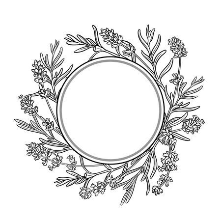 Lavender Branch Outline Round Frame.のイラスト素材