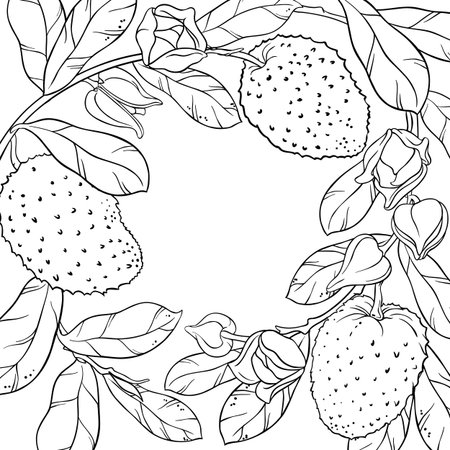 Soursop Branch with Fruits Outline Frame.のイラスト素材