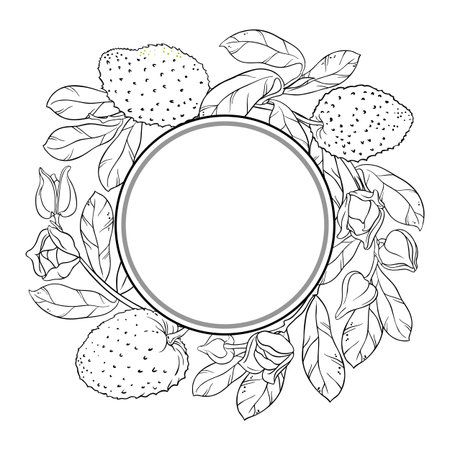 Soursop Branch Outline Round Frame.のイラスト素材