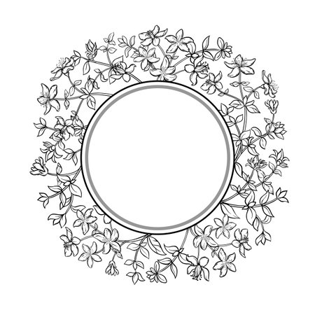 Tutsan Plant Outline Round Frame.のイラスト素材