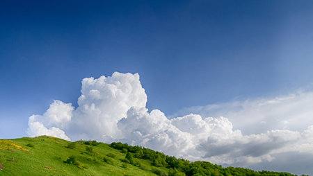 Summer landscape.