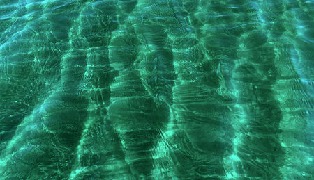 Lake water.