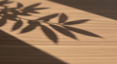 Wooden Surface with Leaf Shadows, Natural Light and Artistic Shadow Play, Blog and Template Backgroundの素材