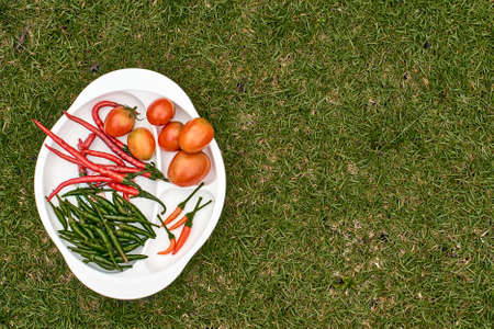 Fresh vegetables on a white plate on a green grass background. Top view.の写真素材