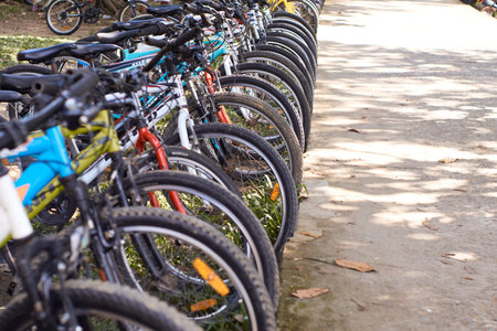 Bicycles parked in a row on the street. Bicycle rental.