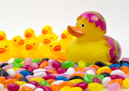 Yellow rubber duck in easter egg with colorful jelly beansの写真素材