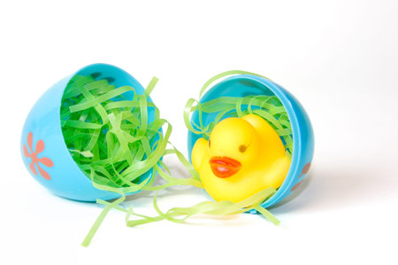 Rubber duck in an opened easter egg on white backgroundの写真素材