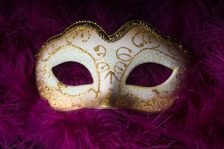 Mardi Gras mask on feather boa backgroundの写真素材