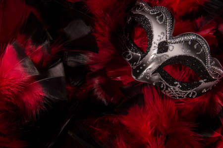 Mardi Grask mask on abstract background of red and black feathersの写真素材
