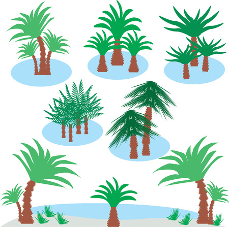 See island with palm trees.のイラスト素材