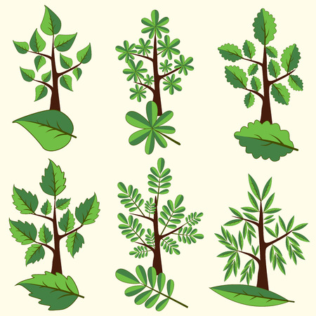 Vector set deciduous trees. Tree and leaf Clip Art.のイラスト素材