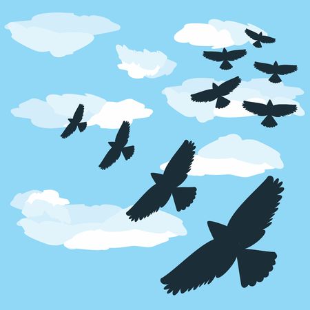 Flock of birds in flight. Clouds in the backgroundのイラスト素材