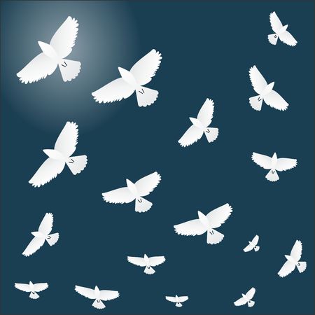 Flock of birds in flight. Night backgroundのイラスト素材