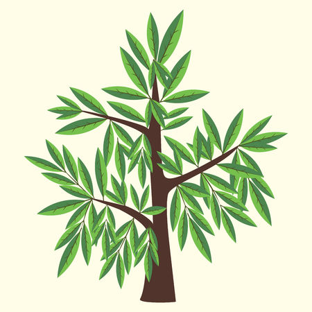 Vector Illustration of willow tree with two color leaves on light yellow background.のイラスト素材