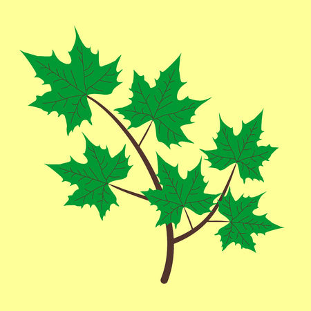 Vector branch with green leaves.のイラスト素材