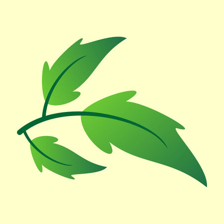 Vector branch with green leaves. Branch with leaves vector illustration.のイラスト素材