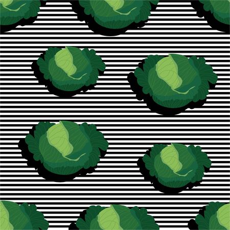 Seamless background with stripes and kale heads with dark shadow. Vector illustration design for template.のイラスト素材