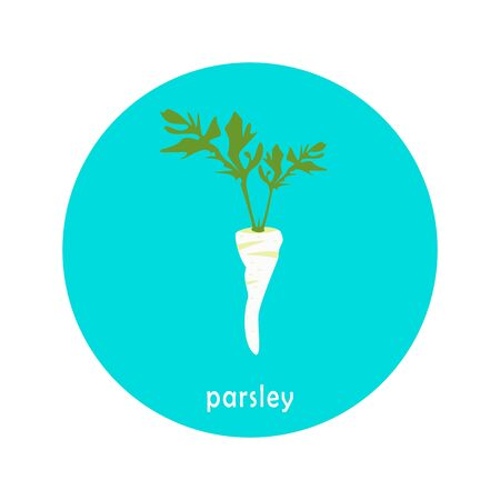 Vector parsley icon isolated on white background.  Flat blue circle icon with vegetable. Healthy food.のイラスト素材