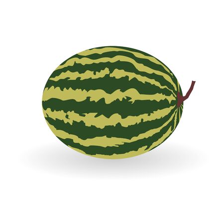 Watermelon icon with shadow on white background. Vector fruit illustration with flat design.のイラスト素材