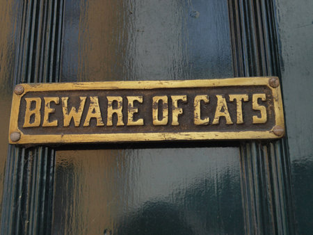 Beware of cats!