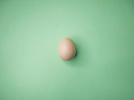 White close up egg isolated on green paper background. Minimalism concept.の写真素材