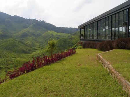 A cafe on the edge of a hill in the Cameron Highlands Malaysiaの写真素材